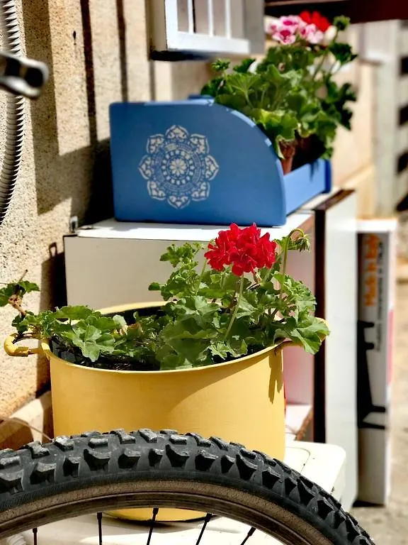 Appartamento Casa Mareluna San Vito Lo Capo Italia